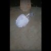 New Born Baby Girl Found Wrapped In Plastic Bags In Galeshewe
