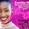 TEEN_AMBASSADOR_SA_CROWN_BECKONS_FOR_KIMBERLEY_TEENAGER-FI