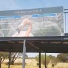 Kimberley's-Flamingo-View-Estate-FI