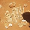 MORE_HUMAN_SKELETAL_REMAINS_DISCOVERED_BY_KIMBERLEY_ARTISANAL_MINERS-20181004-FI