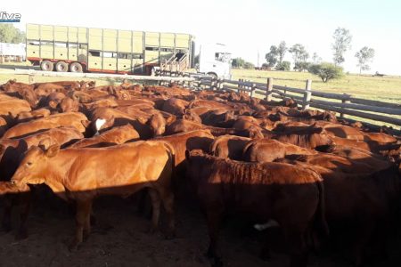 RESTITUTED KOOPMANSFONTEIN COMMUNITY ON AN ECONOMIC EMPOWERMENT QUEST